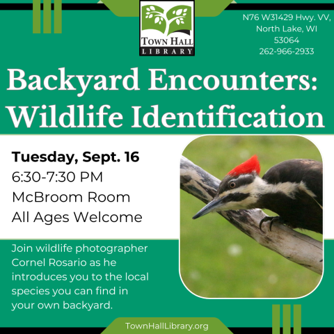 Backyard Encounters: Wildlife Identification