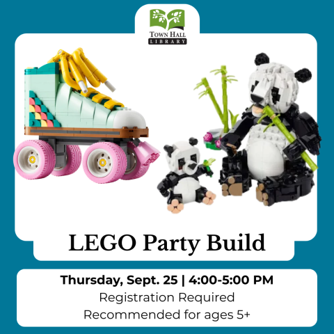 LEGO Party Build
