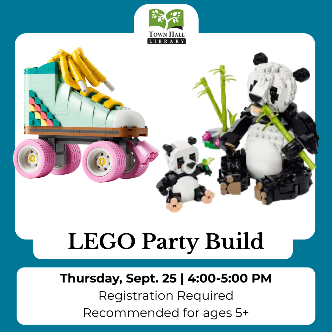 LEGO Party Build